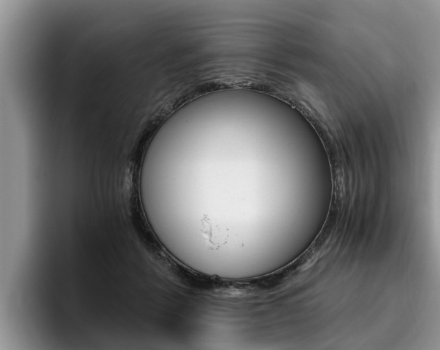 X0000096180412200801180854