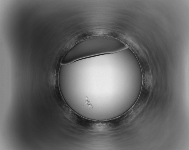 X0000096180413200801180854