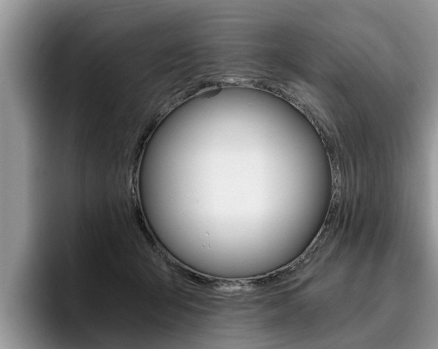 X0000096180415200801180854