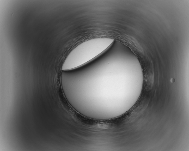 X0000096180416200801180854