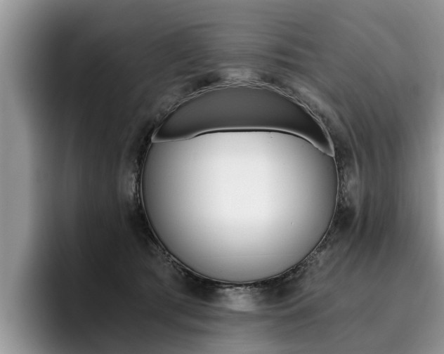 X0000096180417200801180854