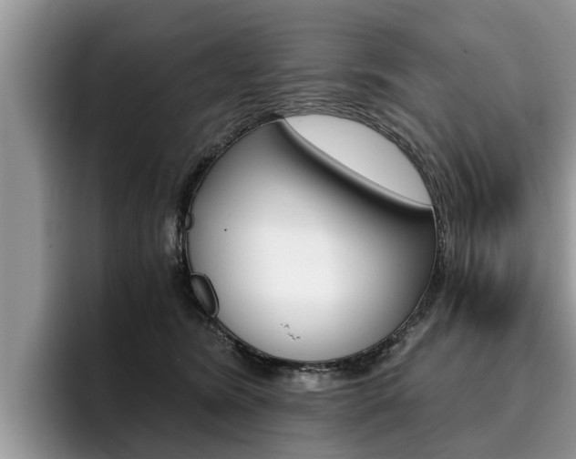 X0000096180420200801180854