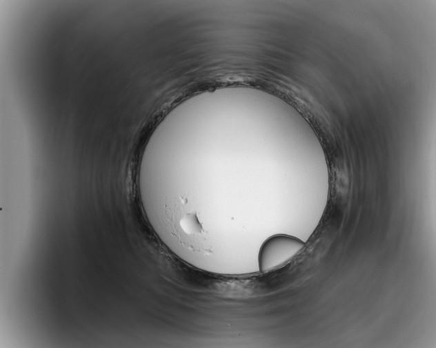 X0000096180422200801180854