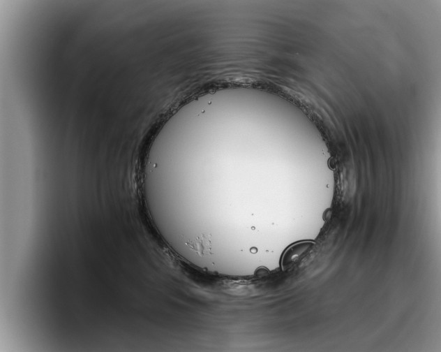 X0000096180424200801180854