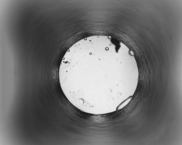 X0000096180425200801180854