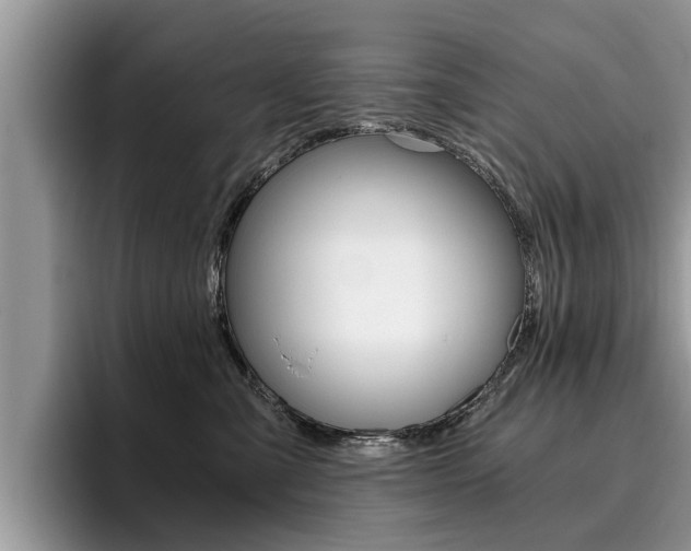 X0000096180427200801180854