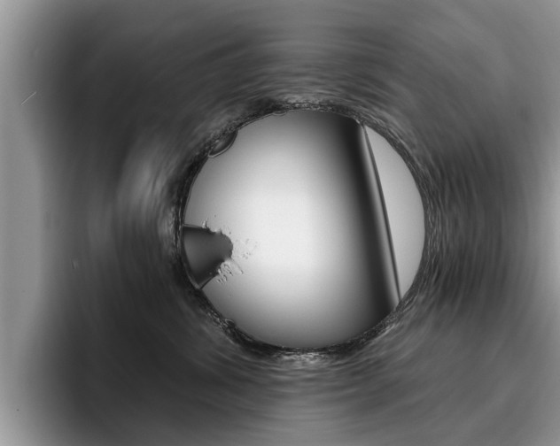 X0000096180428200801180854