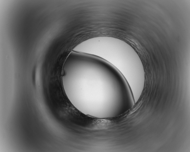 X0000096180429200801180854