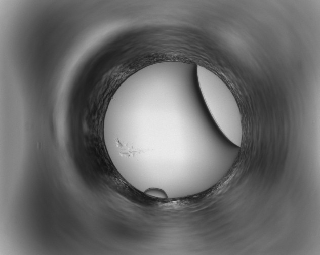 X0000096180430200801180854