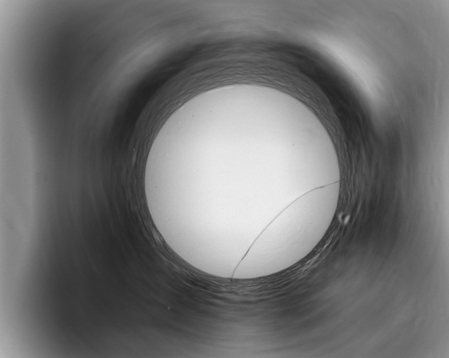 X0000096180431200801180854
