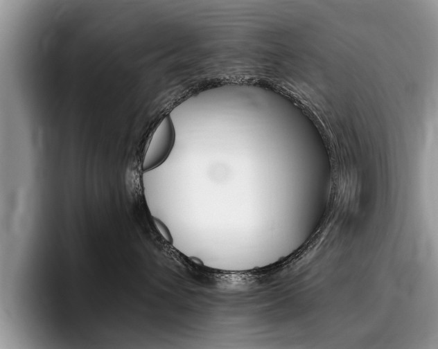 X0000096180432200801180854