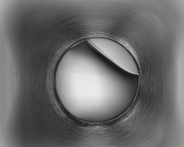 X0000096180433200801180853