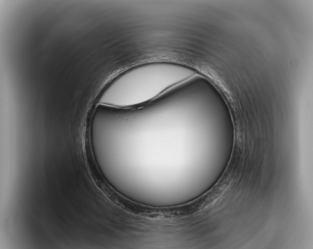 X0000096180434200801180853