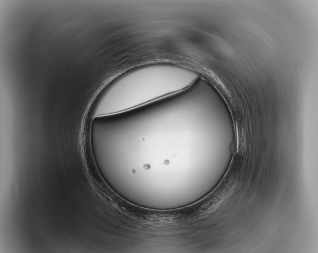 X0000096180435200801180853