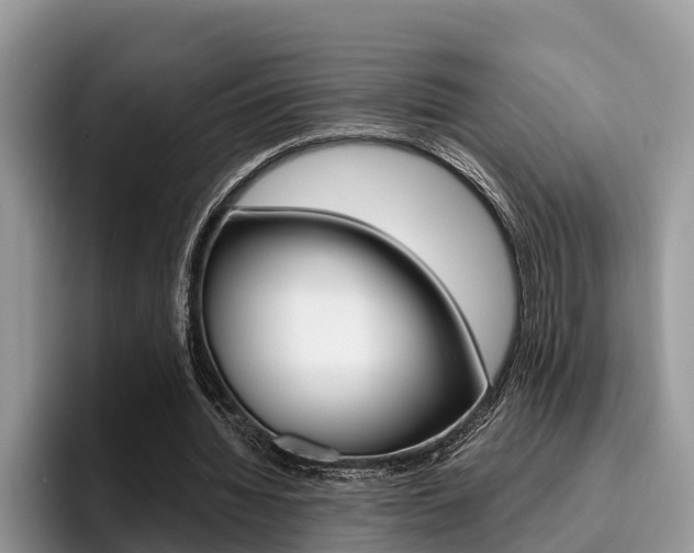 X0000096180436200801180853