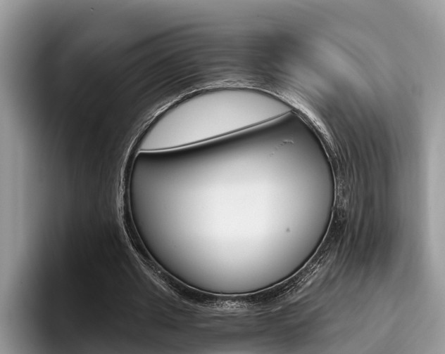 X0000096180437200801180853