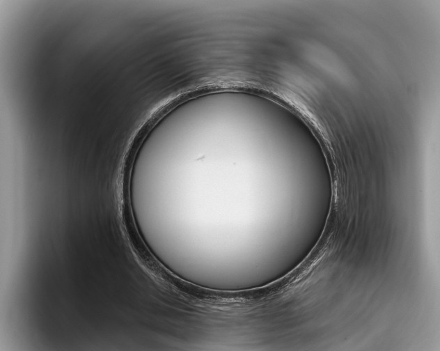 X0000096180438200801180853