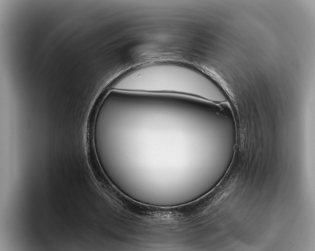 X0000096180439200801180853