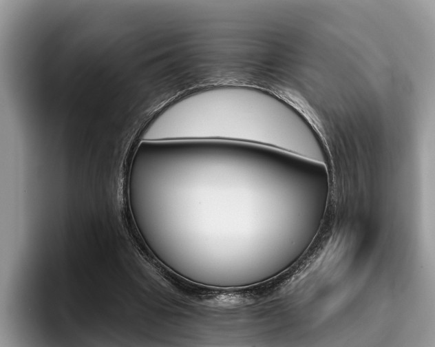 X0000096180441200801180853