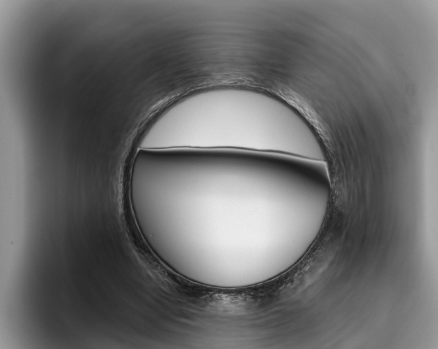 X0000096180442200801180853