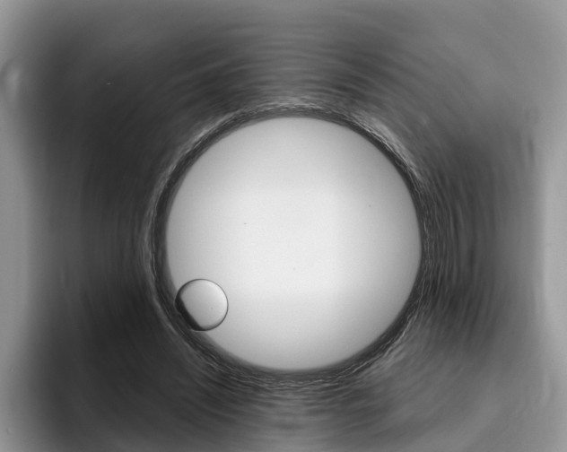 X0000096180444200801180853