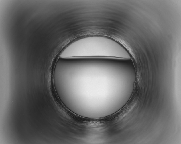 X0000096180445200801180853