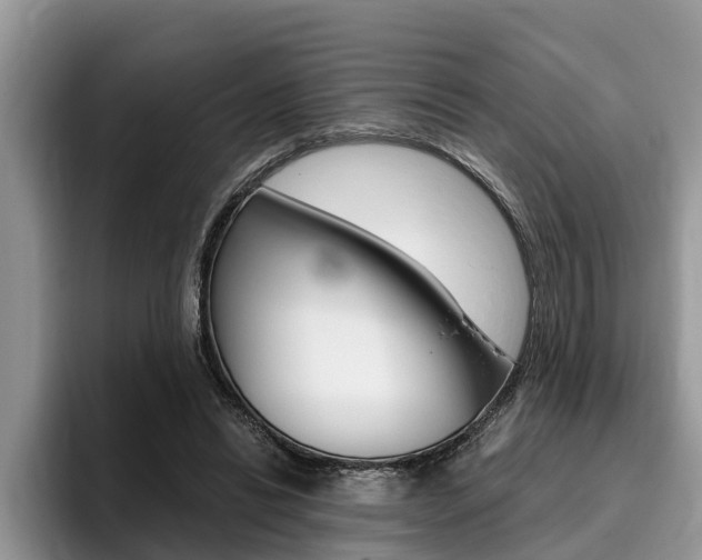 X0000096180446200801180853