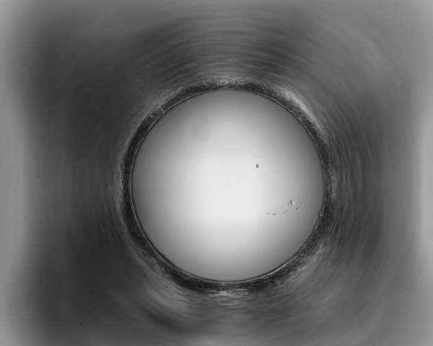 X0000096180447200801180853