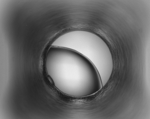 X0000096180448200801180853