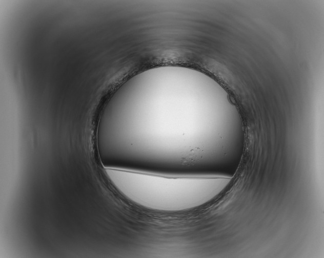 X0000096180450200801180853