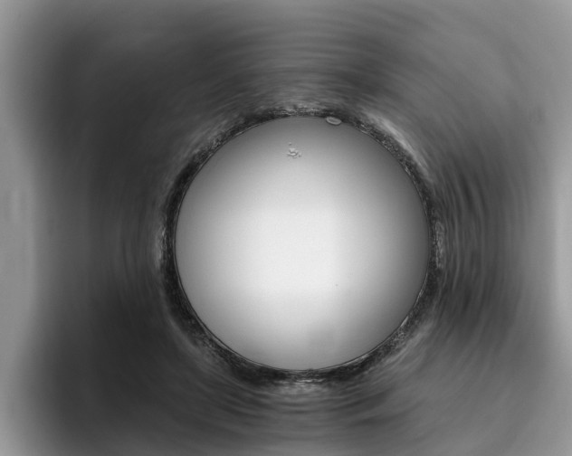 X0000096180451200801180853