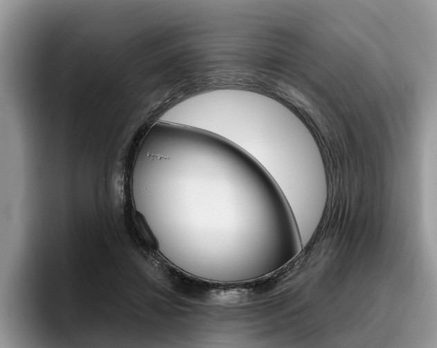 X0000096180452200801180853
