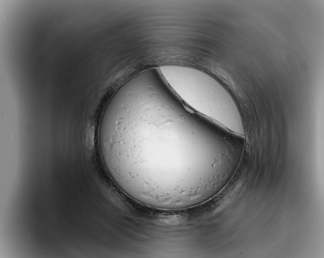 X0000096180454200801180853
