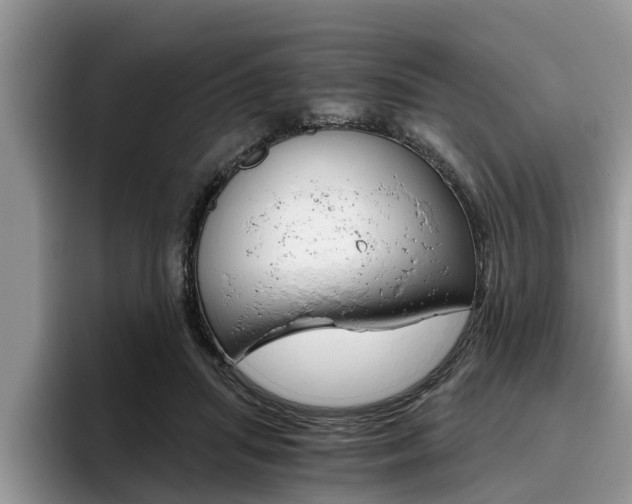 X0000096180455200801180853