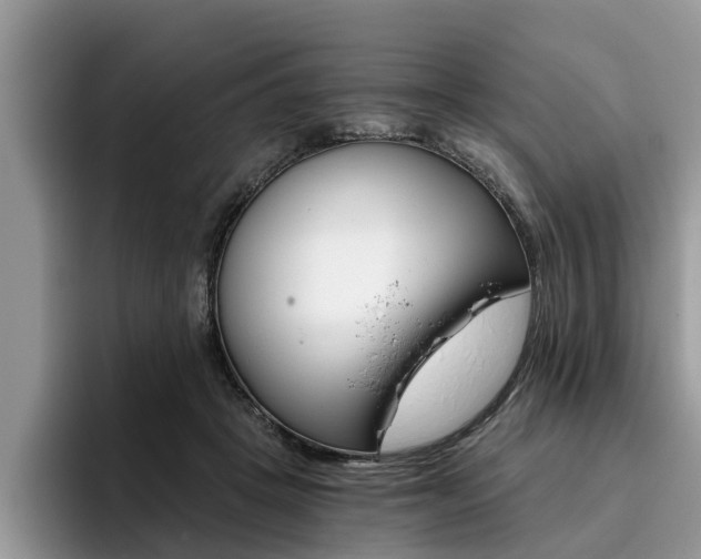 X0000096180457200801180854