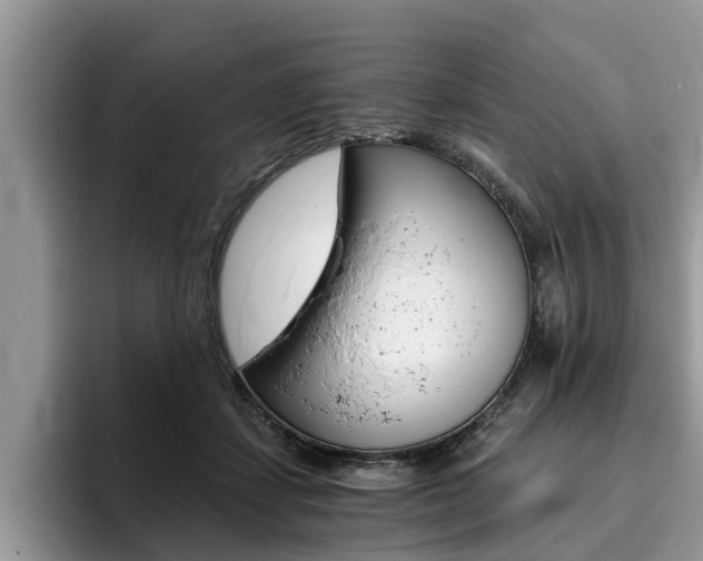 X0000096180459200801180854