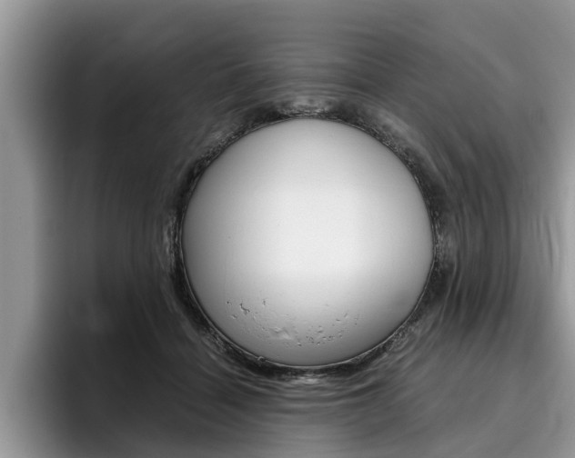 X0000096180460200801180854