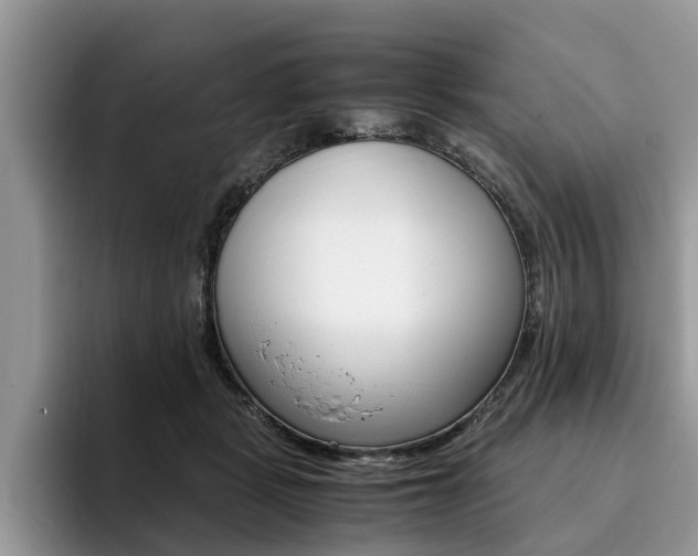 X0000096180461200801180854