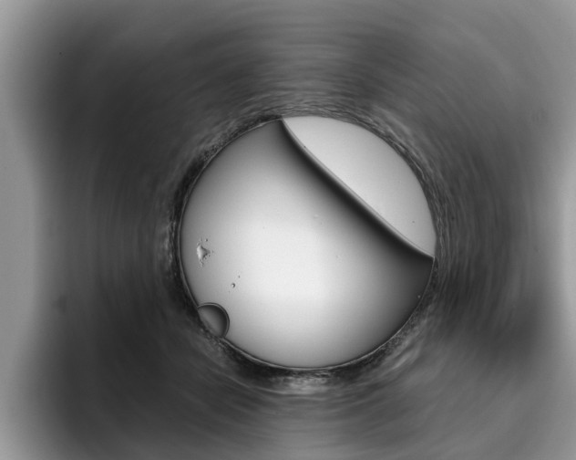 X0000096180462200801180854