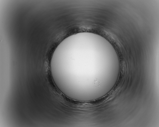 X0000096180463200801180854
