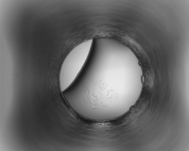 X0000096180465200801180854