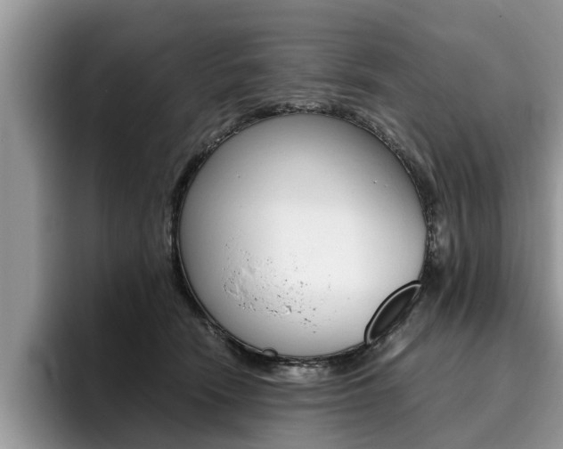 X0000096180466200801180854