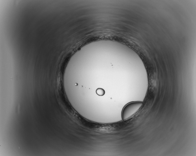 X0000096180468200801180854