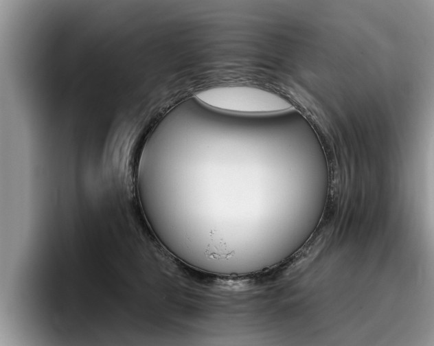 X0000096180469200801180854