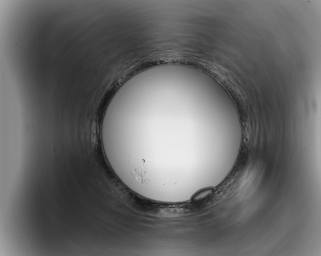 X0000096180470200801180854