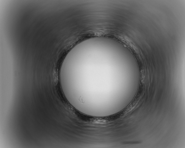 X0000096180471200801180854