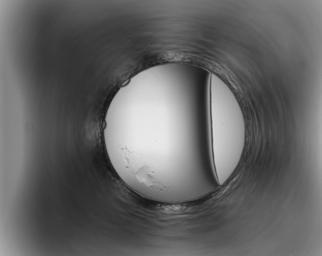 X0000096180473200801180854
