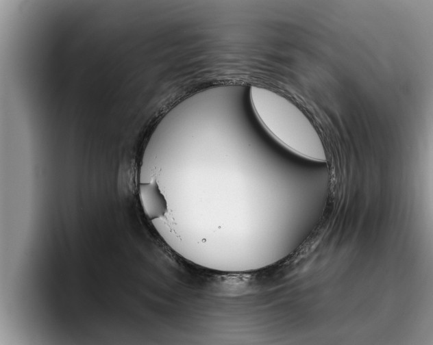 X0000096180474200801180854