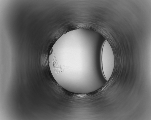 X0000096180478200801180854