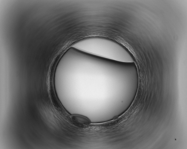 X0000096180482200801180853